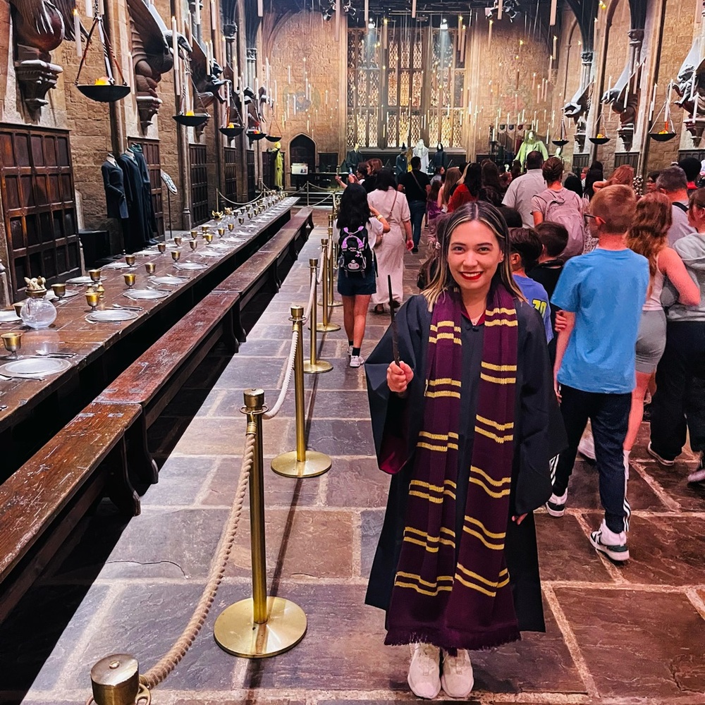 Harry Potter Costume Robe, Scarf, and Wand
